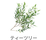 teatree